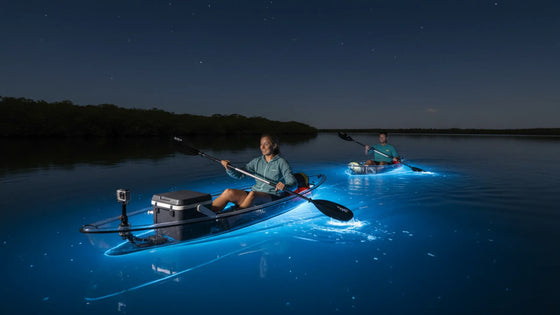 Florida Bioluminescence Guide: Best Places, 2026 Moon Dates, and Night-Kayaking Safety